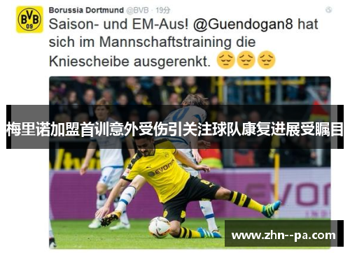 梅里诺加盟首训意外受伤引关注球队康复进展受瞩目